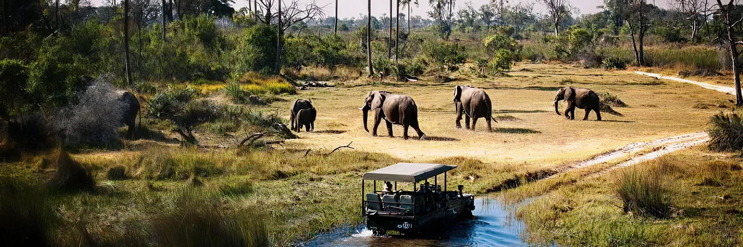 Game-Drives-in-Tarangire-National-Parkss 2.webp